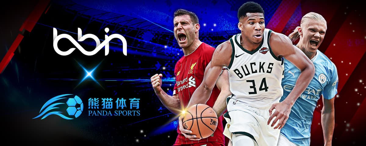 网络